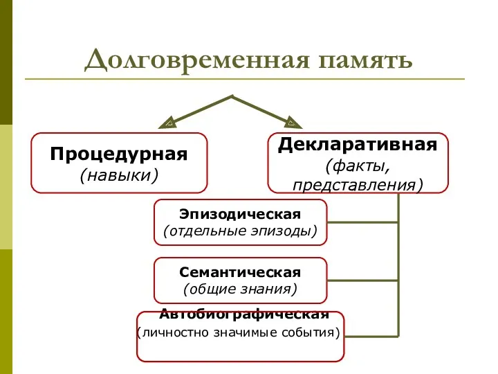 Долговременная память Автобиографическая (личностно значимые события)