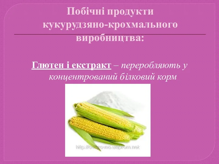 Побічні продукти кукурудзяно-крохмального виробництва: Глютен і екстракт – переробляють у концентрований білковий корм