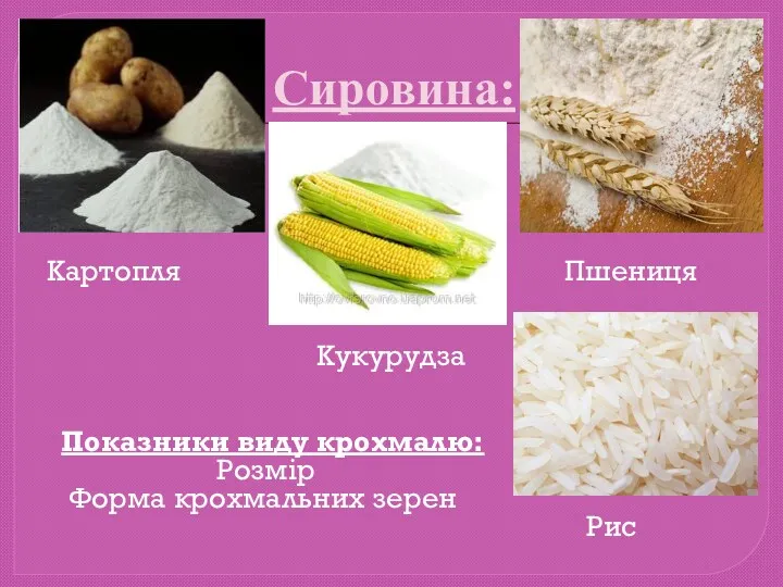 Сировина: Картопля Пшениця Кукурудза Показники виду крохмалю: Розмір Форма крохмальних зерен Рис