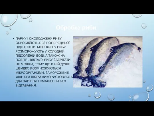 Обробка риби ПАРНУ І ОХОЛОДЖЕНУ РИБУ ОБРОБЛЯЮТЬ БЕЗ ПОПЕРЕДНЬОЇ ПІДГОТОВКИ.