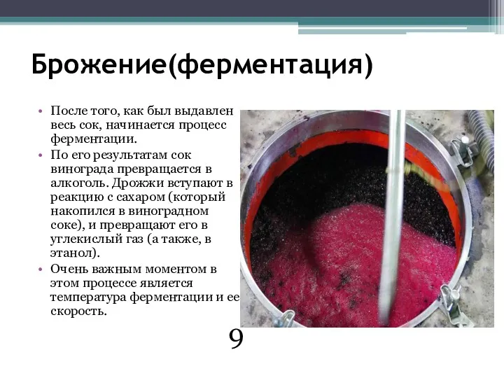 Брожение(ферментация) После того, как был выдавлен весь сок, начинается процесс