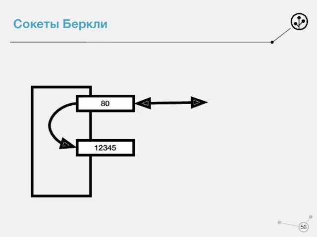 Сокеты Беркли 80 12345