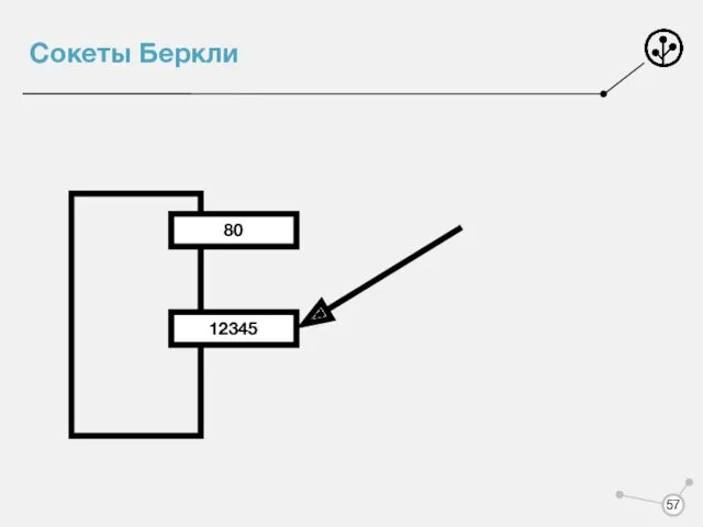 Сокеты Беркли 80 12345