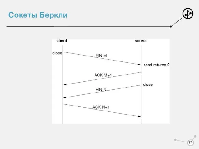 Сокеты Беркли