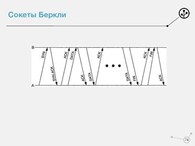 Сокеты Беркли