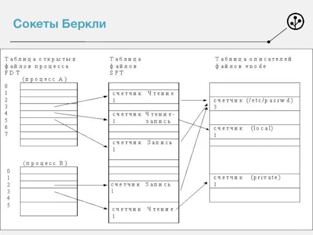 Сокеты Беркли