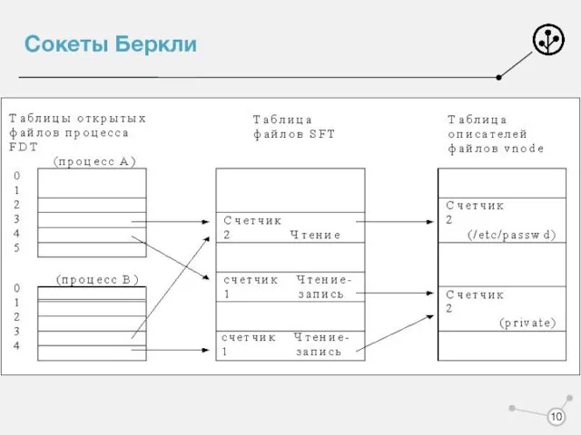 Сокеты Беркли