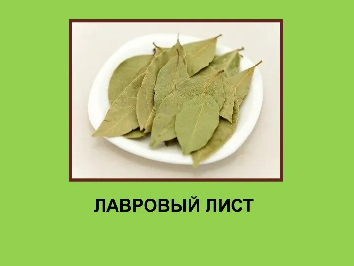 ЛАВРОВЫЙ ЛИСТ