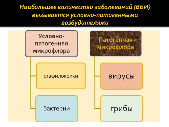 Наибольшее количество заболеваний (ВБИ) вызывается условно-патогенными возбудителями