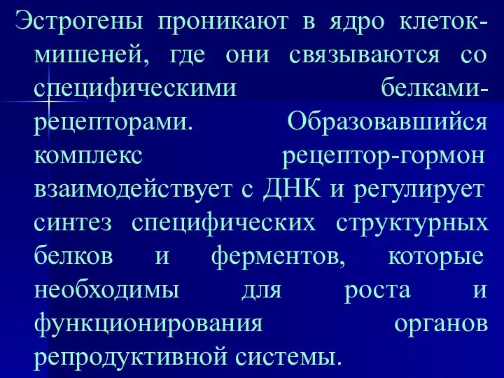 Эстрогены проникают в ядро клеток-мишеней, где они связываются со специфическими