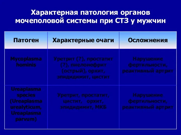 Характерная патология органов мочеполовой системы при СТЗ у мужчин