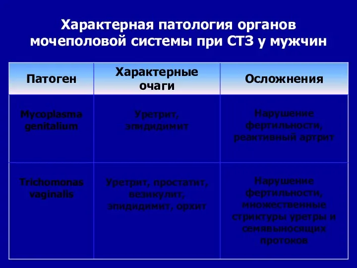 Характерная патология органов мочеполовой системы при СТЗ у мужчин