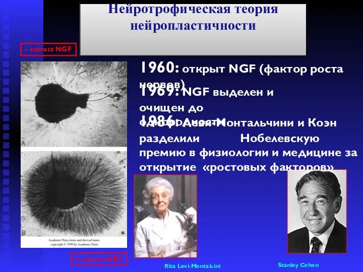 – extract NGF + extract NGF 1969: NGF выделен и