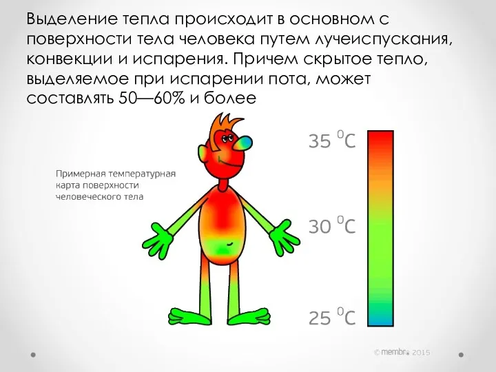 Выделение тепла происходит в основном с поверхности тела человека путем