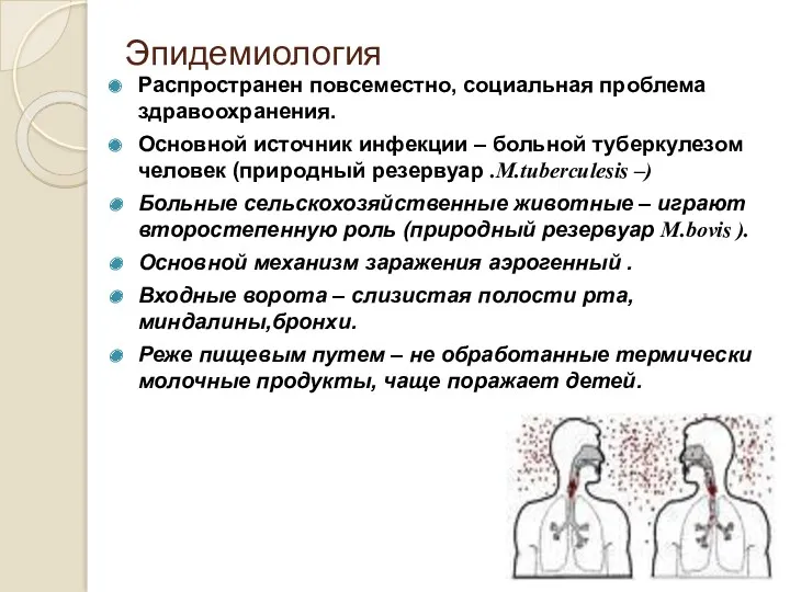 Эпидемиология Распространен повсеместно, социальная проблема здравоохранения. Основной источник инфекции –