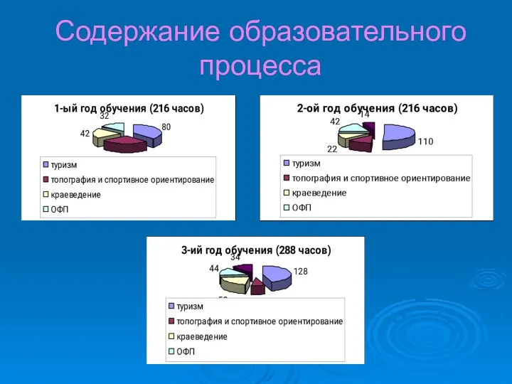 Содержание образовательного процесса