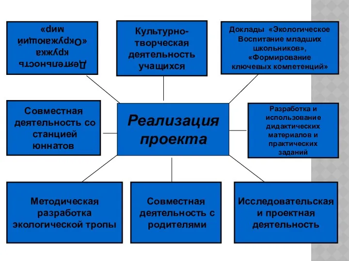 Реализация проекта Деятельность кружка «Окружающий мир» Разработка и использование дидактических