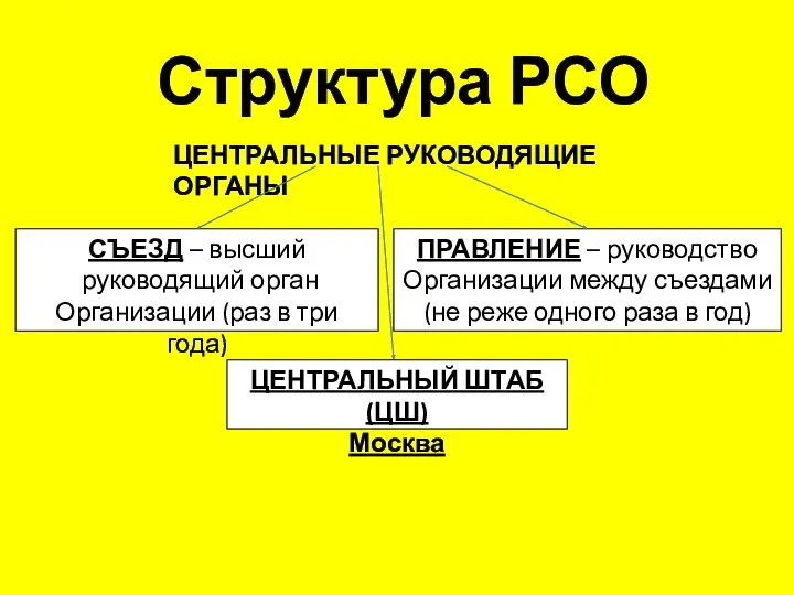 Структура РСО ЦЕНТРАЛЬНЫЕ РУКОВОДЯЩИЕ ОРГАНЫ СЪЕЗД – высший руководящий орган