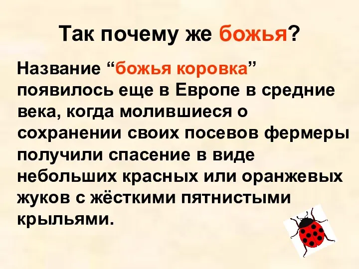 Так почему же божья? Название “божья коровка” появилось еще в Европе в средние