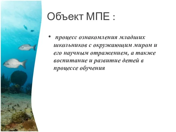 Объект МПЕ : процесс ознакомления младших школьников с окружающим миром