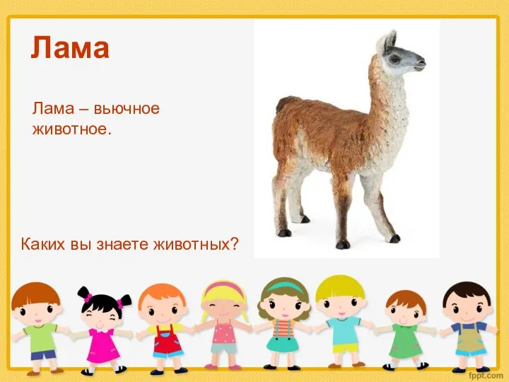 Лама Каких вы знаете животных? Лама – вьючное животное.