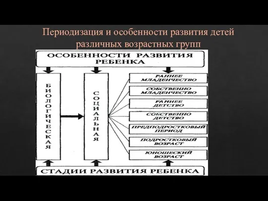 Периодизация и особенности развития детей различных возрастных групп