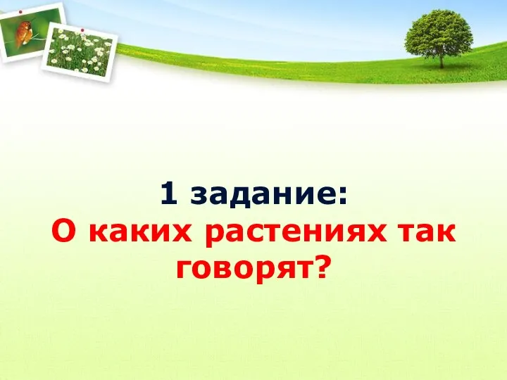 1 задание: О каких растениях так говорят?