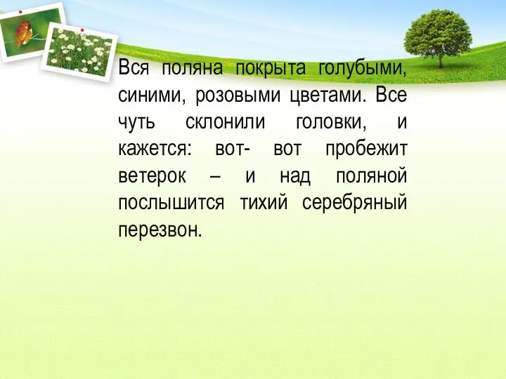 Вся поляна покрыта голубыми, синими, розовыми цветами. Все чуть склонили