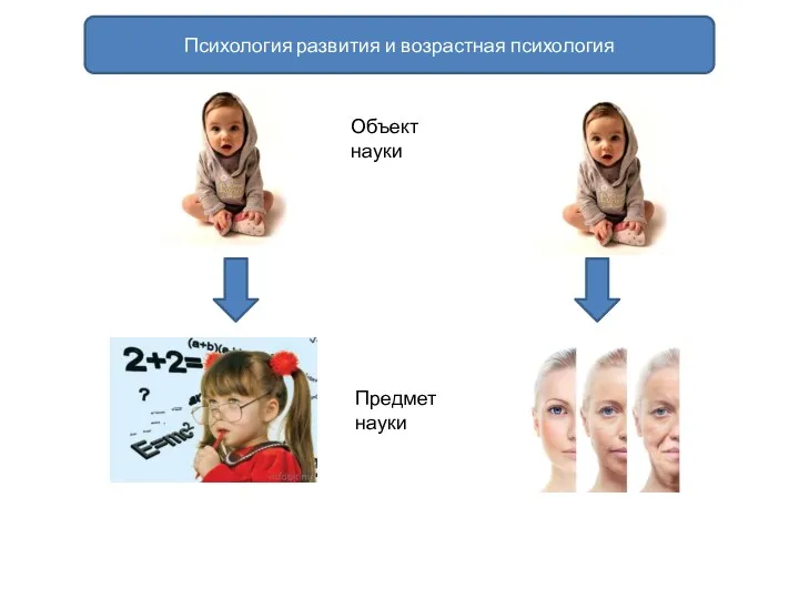 Психология развития и возрастная психология Предмет науки Объект науки