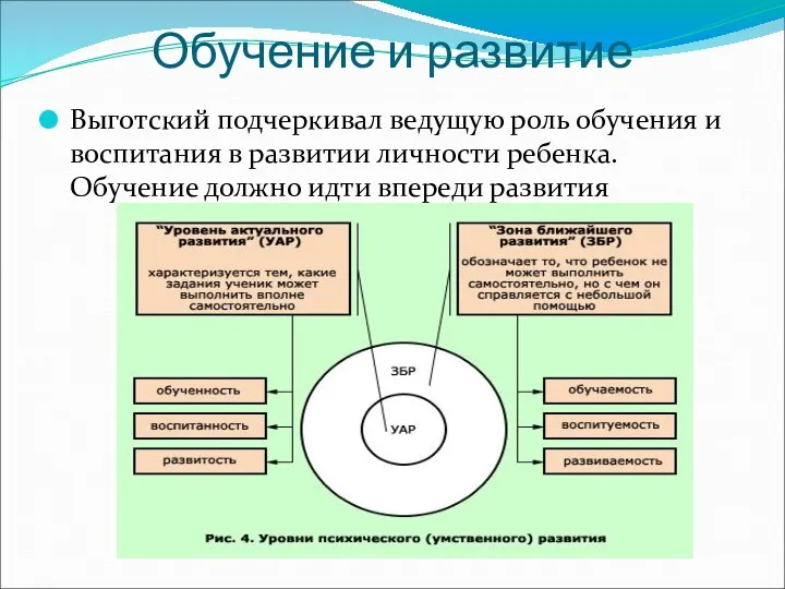 Обучение и развитие Выготский подчеркивал ведущую роль обучения и воспитания