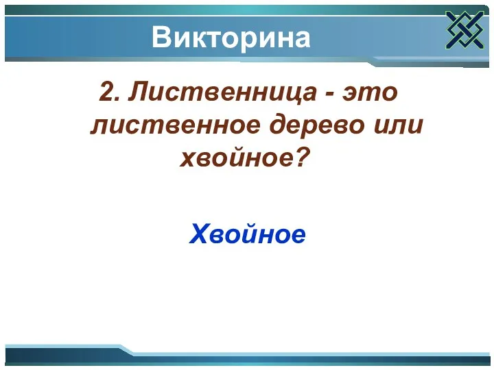 Викторина 2. Лиственница - это лиственное дерево или хвойное? Хвойное