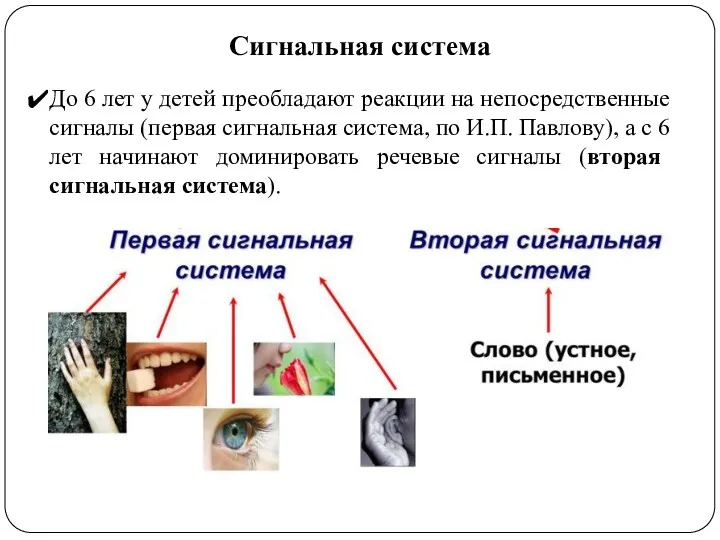 Сигнальная система До 6 лет у детей преобладают реакции на