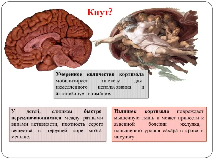 У детей, слишком быстро переключающимися между разными видами активности, плотность