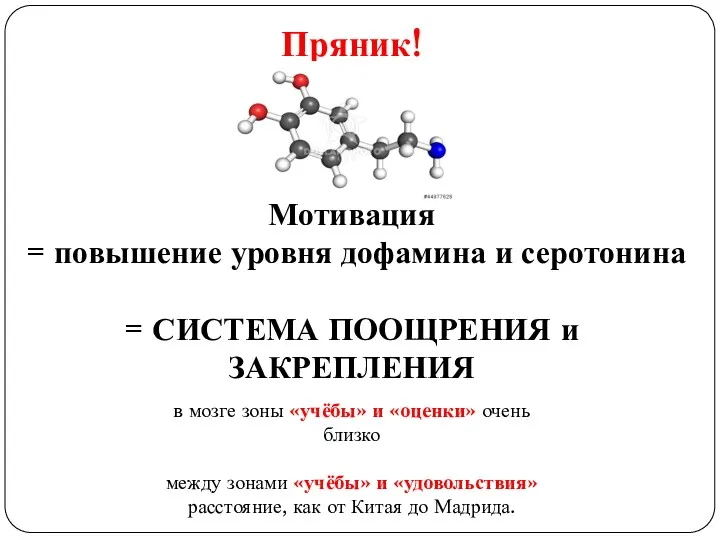 Пряник! Мотивация = повышение уровня дофамина и серотонина = СИСТЕМА