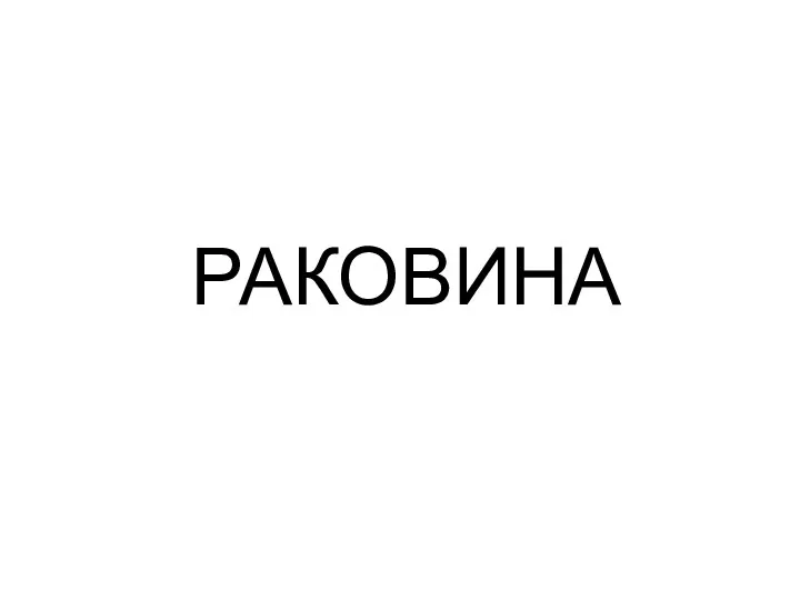 РАКОВИНА