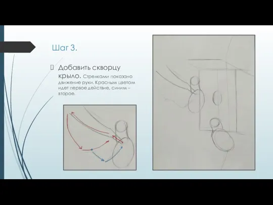 Шаг 3. Добавить скворцу крыло. Стрелками показано движение руки. Красным цветом идет первое