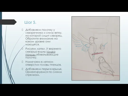 Шаг 5. Добавляем палочку у скворечника и снизу ветку, на которой сидит скворец.