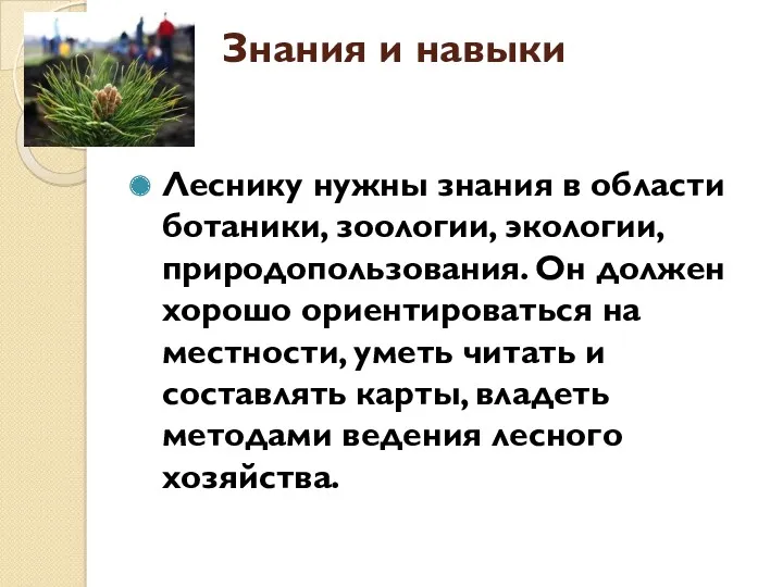 Знания и навыки Леснику нужны знания в области ботаники, зоологии,