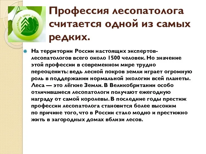 Профессия лесопатолога считается одной из самых редких. На территории России