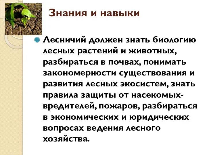 Знания и навыки Лесничий должен знать биологию лесных растений и