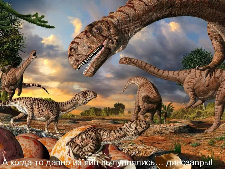 А когда-то давно из яиц вылуплялись… динозавры!