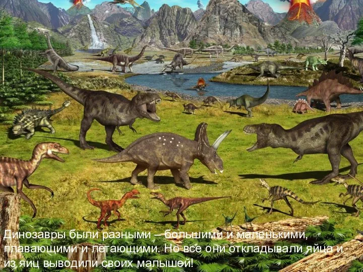 Динозавры были разными – большими и маленькими, плавающими и летающими.