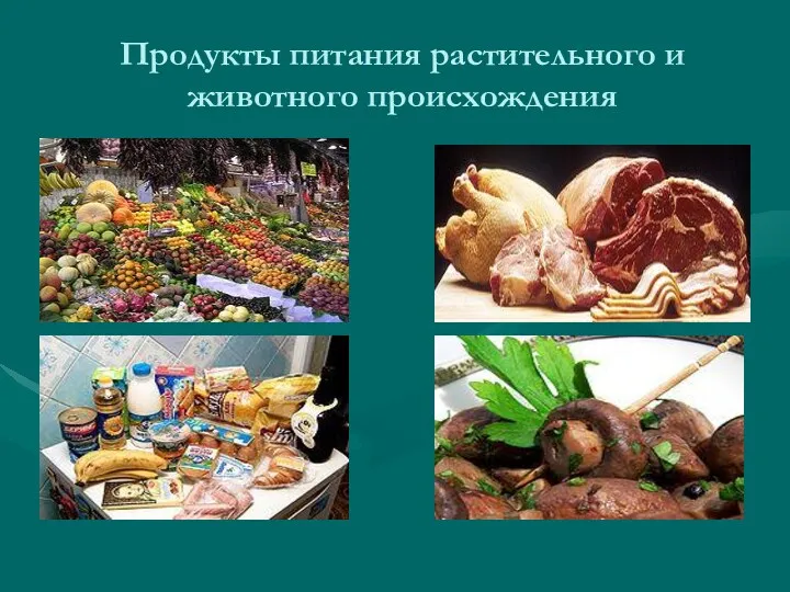 Продукты питания растительного и животного происхождения