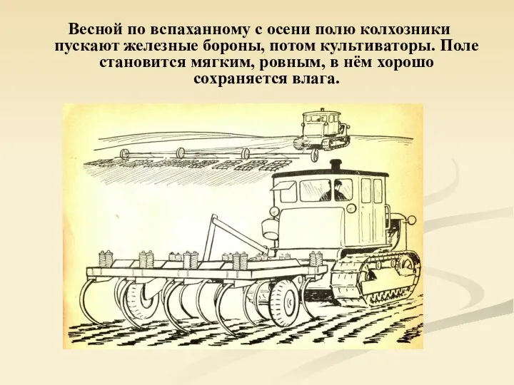 Весной по вспаханному с осени полю колхозники пускают железные бороны,