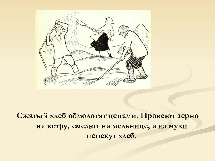 Сжатый хлеб обмолотят цепами. Провеют зерно на ветру, смелют на мельнице, а из муки испекут хлеб.