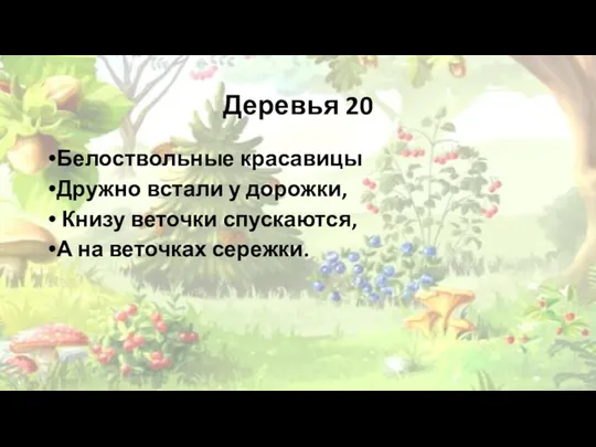 Деревья 20 Белоствольные красавицы Дружно встали у дорожки, Книзу веточки спускаются, А на веточках сережки.