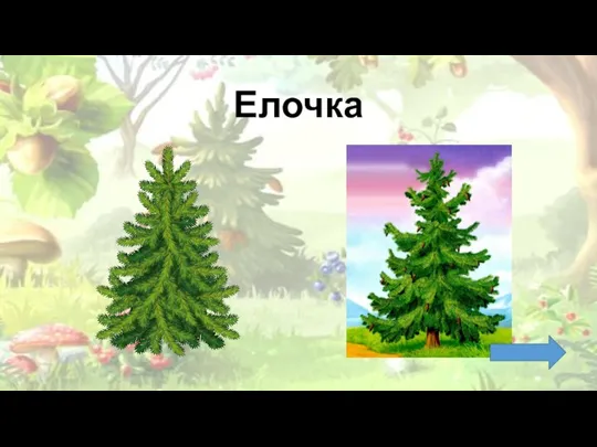 Елочка