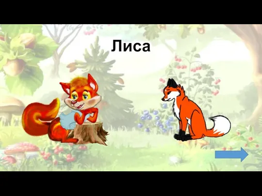 Лиса