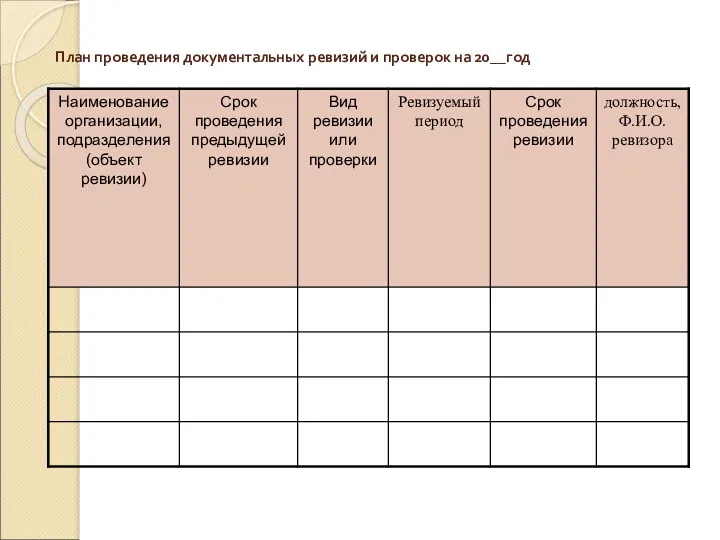 План проведения документальных ревизий и проверок на 20__год