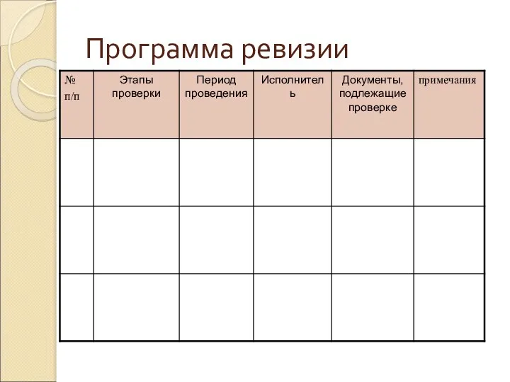 Программа ревизии